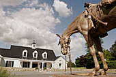 Virginia, Middleburg, National Horse and Hound Sporting Library, Civil War Horse and Mule Memorial, statue