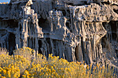 Mono Lake area. California. USA