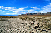 Death Valley National Park. California. USA
