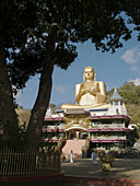 Gold Buddha in Dambulla, Sri Lanka