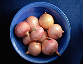 Onions (Allium cepa)