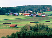 Ragvaldsträsk. Västerbotten. Sweden