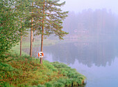 Misty morning in Rusksele. Vasterbotten. Sweden