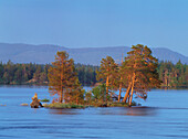 Pite River in Trollforsarna. Norrbotten. Sweden