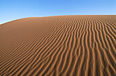 Sand dune in Sossusvlei. Namib Desert. Namibia