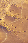 Gravelled road from ait. Namib Desert. Namib-Naukluft National Park. Sossusvlei. Namibia