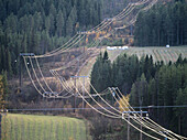 Powerline in direct light. Sandfors, Västerbotten, Sweden