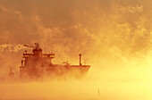 A ship steaming throught the mist, a cold wintermorning, in direct light. Skelleftehamn. Västerbotten. Sweden