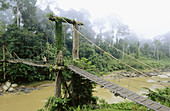 Man standing on a suspension bridge that s crossing a river. Danum Valley. Borneo. Malaysia