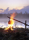 Coffee boiling over a campfire, at sunrise. Byske. Vasterbotten. Sweden.