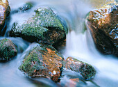 Mossy stones in water