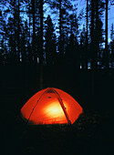 Enlightened red tent in the forest. Västerbotten. Sweden