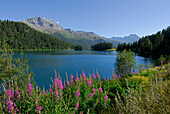 Lake Champfer, Upper Engadin, Grisons, Switzerland