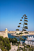 Blick von Valletta auf die Drei Städte unter blauem Himmel, Malta, Europa