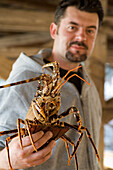 Man holding a lobster, langouste in his hand, Reataurant, Komiza harbour, Vis Island, Croatia