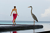 Frau läuft am Pool vorbei, One & Only Resort Reethi Rah, Maldiven