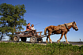 Women on a horse cart in the area of Vilnius, Lithuania