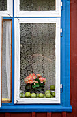 Detail of a window of a traditional wooden house in Minja (Nemunas delta), Lithuania