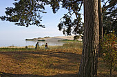 Big dune in Nida, (Nidden), Curian spit, Lithuania