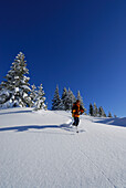 Skifahrer bei der Abfahrt, Feuerstätter Kopf, Allgäuer Alpen, Vorarlberg, Österreich