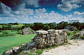 Maya ruins of Altun Ha. Belize