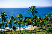 Beach. Samana Peninsula. Dominican Republic