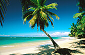 Beach. Samana Peninsula. Dominican Republic