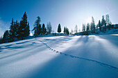 Val Badia. Dolomites