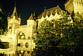 Vajdahunyad Castle. Budapest. Hungary