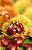 Chestnuts