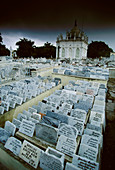 Columbus Cemetery. Havana. Cuba