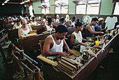 Cigar factory. Cuba