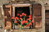 Red geraniums on a window. Sonogno. Verzasca Valley. Tessin. Switzerland
