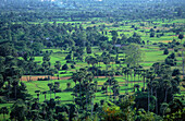 Plains in Cambodia