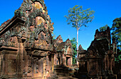 Banteay Srei Temple in Angkor. Siem Reap. Cambodia