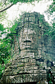 Ta Prohm Temple. Angkor Wat. Cambodia