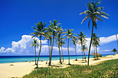 Beach and plams in Playas del Este . Havana. Cuba