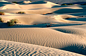 Sand dunes in Death Valley National Park. California. USA