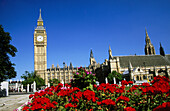 Big Ben. London. England