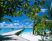 Ari atoll, white sands resort. Maldives Islands. Indian Ocean