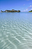 Ari Atoll in the Indian Ocean. Maldives Islands