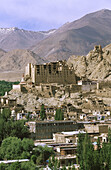 View of Leh with Royal Palace at the background. Ladakh. Jammu and Kashmir. India