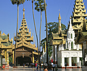 Shwedagon Pagoda. Yangoon. Myanmar