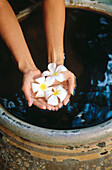 Frau hält Blumen in einem Spa. Insel Koh Samui. Thailand