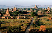 Bagan s archeological zone. Bagan. Myanmar (Burma).