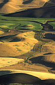 The Palouse. Washington. USA