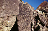 Petroglyphs. Eastern Sierras. California. USA