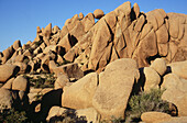 Jumbo boulders. Joshua Tree National Park. California. USA