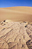 Mesquite Flat Sand Dunes. Death Valley NP. California. USA