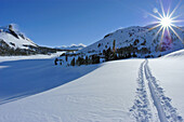 Sun flair over ski tracks on the Tioga Pass road (Highway 120) in winter, Inyo National Forest, Sierra Nevada Mountains, California